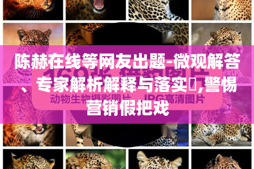 陳赫在線等網(wǎng)友出題-微觀解答、專(zhuān)家解析解釋與落實(shí)?,警惕營(yíng)銷(xiāo)假把戲