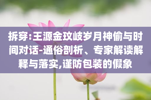 拆穿:王源金玟岐歲月神偷與時間對話-通俗剖析、專家解讀解釋與落實,謹(jǐn)防包裝的假象