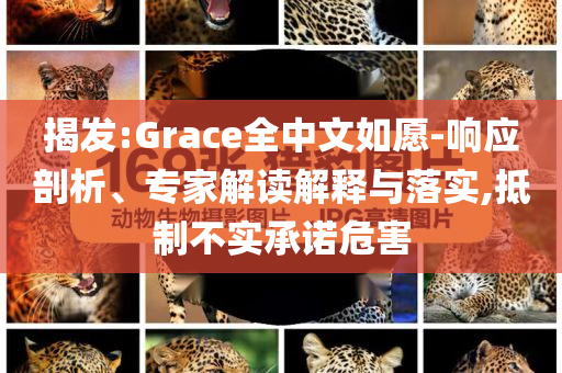 揭發(fā):Grace全中文如愿-響應(yīng)剖析、專家解讀解釋與落實(shí),抵制不實(shí)承諾危害
